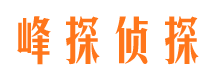 京山市调查公司